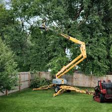 Best Lawn Mowing  in Gaylord, MN